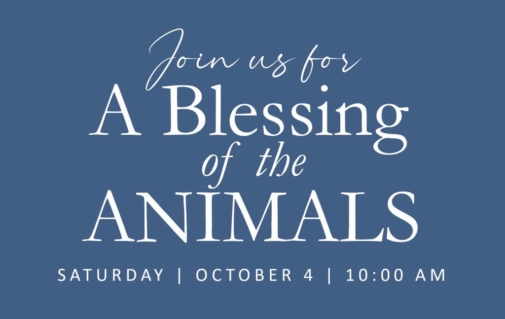Blessing of the Animals
